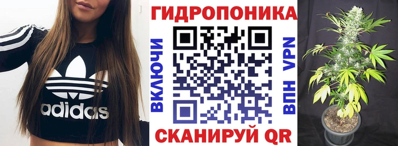 Где найти наркотики Гусь-Хрустальный Cocaine  МЕТАМФЕТАМИН  Конопля  Мефедрон 