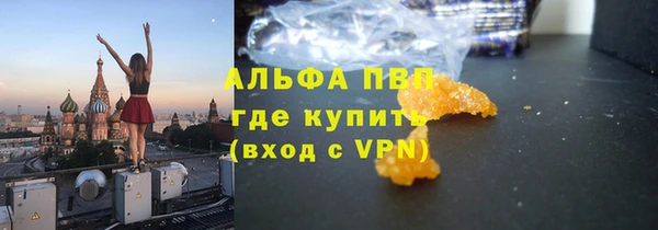 стафф Богородицк