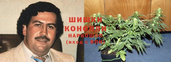 стафф Богородицк