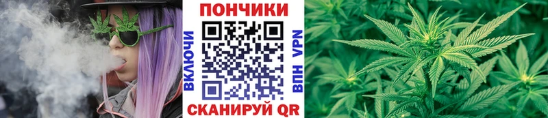закладка  Гусь-Хрустальный  Бошки Шишки сатива 